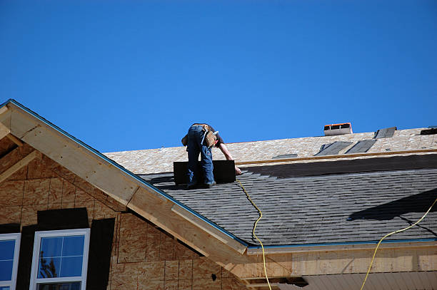 Best Local Roofing Companies  in Port Edwards, WI