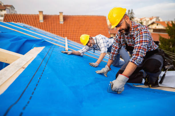 Best Roof Maintenance Services  in Port Edwards, WI