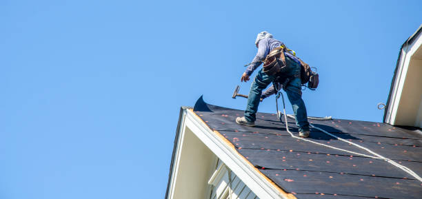 Best Roof Repair Services  in Port Edwards, WI